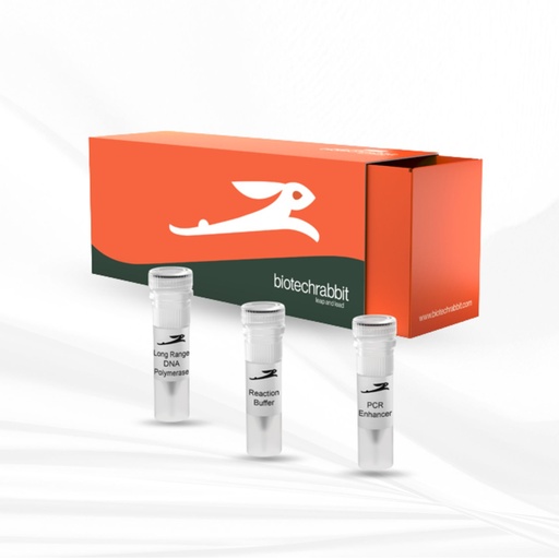 [MT-MC-BR0300301] biotechrabbit Long Range DNA Polymerase, 2.5 U/µl