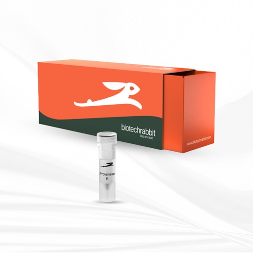 [MT-MC-BR1101001] biotechrabbit Proteinase K