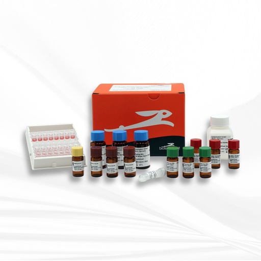 [MT-MC-BR1401001] biotechrabbit RTS 100 Wheat Germ CECF Kit