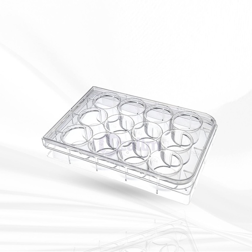 [MT-SP-SJWP12TC] Symphosci 12-Well plate Cell Culture Plate, Tissue Culture Treated. 