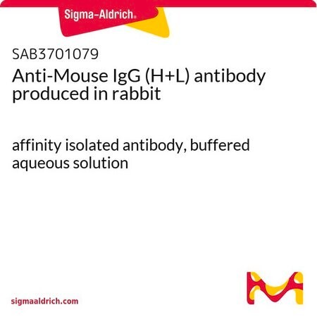 [MT-AB-SAB3701079-2MG] Sigma-Aldrich® Anti-Mouse IgG (H+L) antibody produced in rabbit