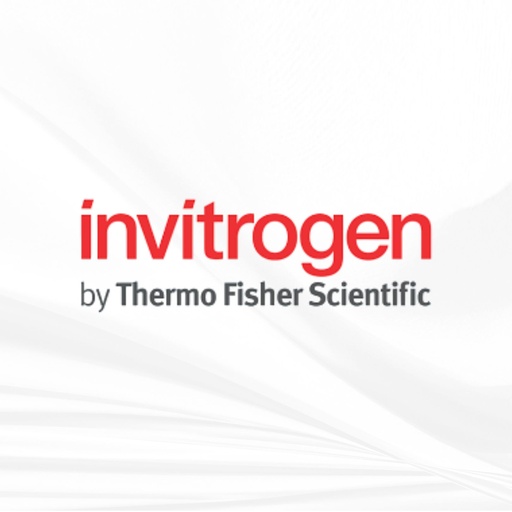 [MT-AB-A16166] Invitrogen™ Rabbit anti-Mouse IgG (H+L) Cross-Adsorbed Secondary Antibody, HRP