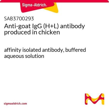 [MT-AB-SAB3700293-2MG] Sigma-Aldrich® Anti-goat IgG (H+L) antibody produced in chicken