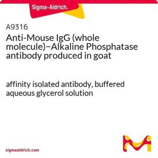 [MT-MC-A9316-.25ML] Sigma-Aldrich® Anti-Mouse IgG (whole molecule)−Alkaline Phosphatase antibody produced in goat