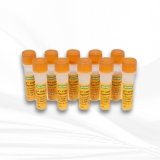 [MT-MC-1708882-500] iQ™ SYBR® Green Supermix, 500 x 50 µl rxns, 12.5 ml (10 x 1.25 ml)