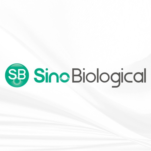 [MT-AB-13194-H08B-100] Thyroid peroxidase 100μg (SII.13194-H08B-100 ) , sinobiologica